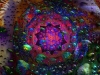 Mandala: Book Drops