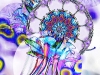 Flowers: cytoplasm
