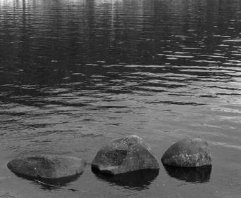 Rock Shelf