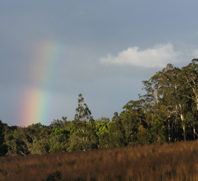 Rainbow, The Downpour